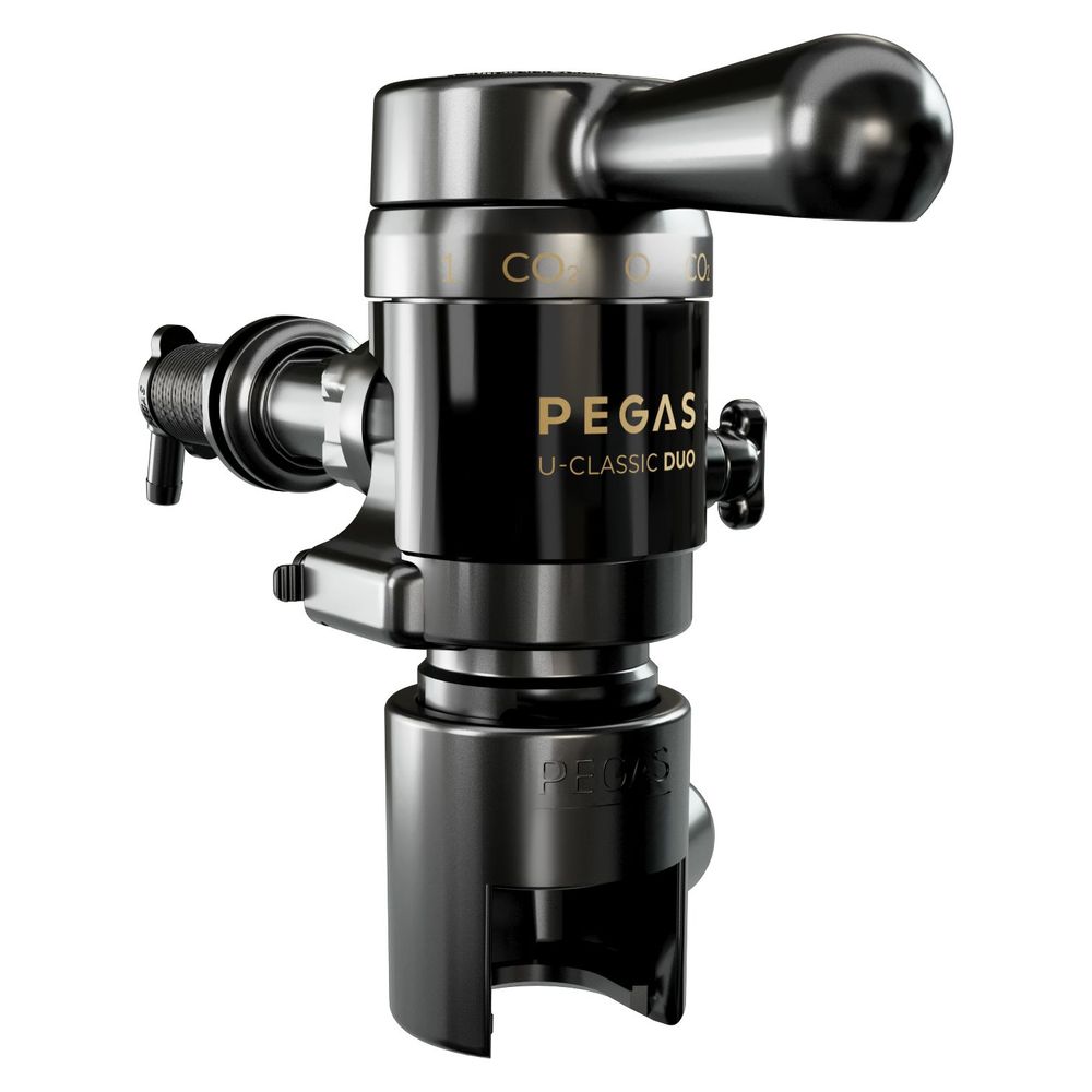 Неоклассик Дуо Блэк 