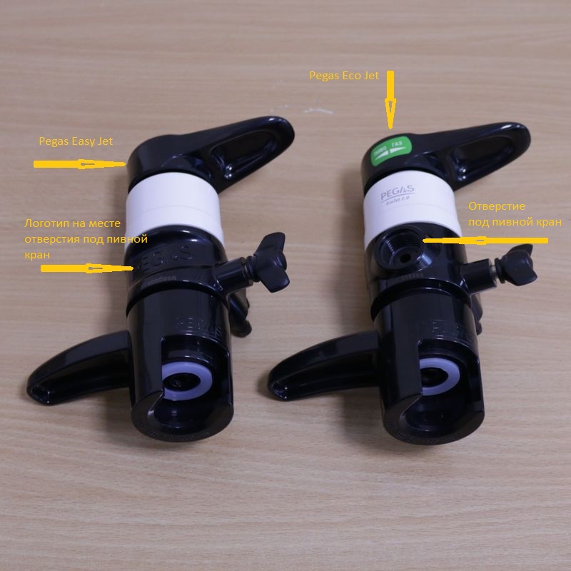 Отличие двух пегасов