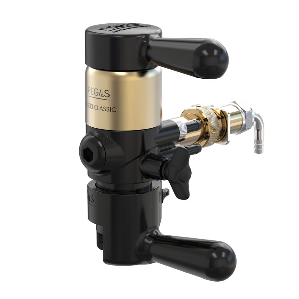 Neoclassic Gold-min.jpg