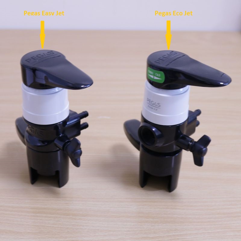 Размеры двух Пегасов