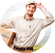 company.png company.png