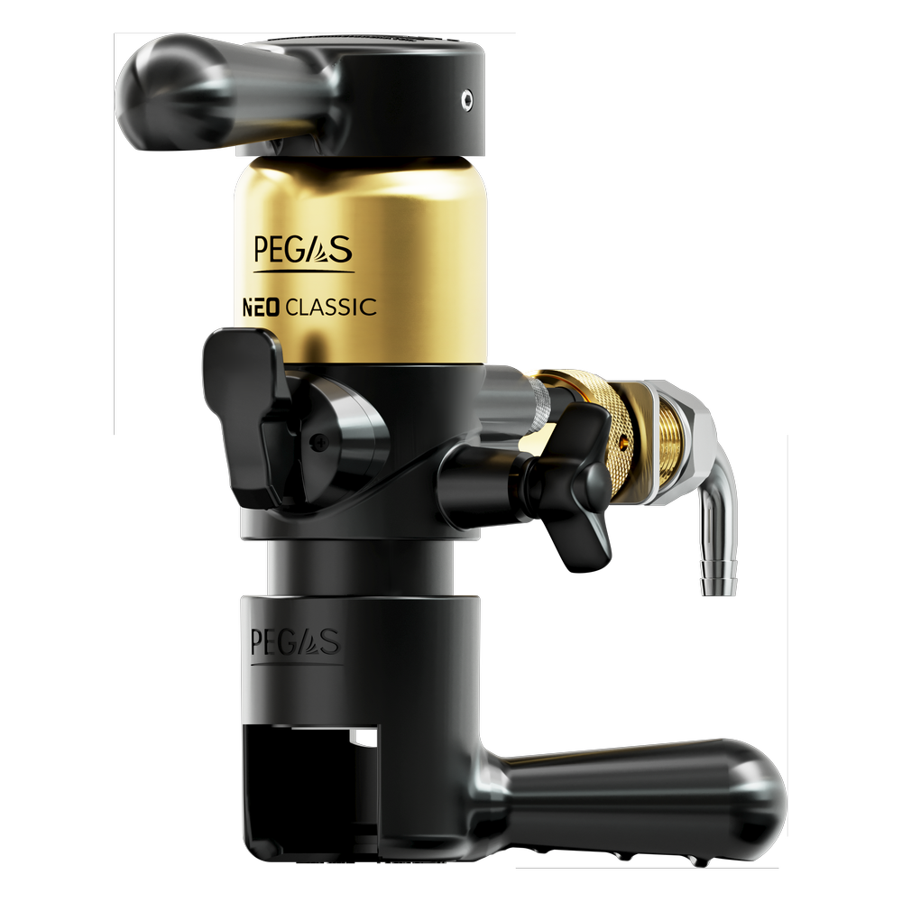 pegas Neo Classic Max Duo Gold