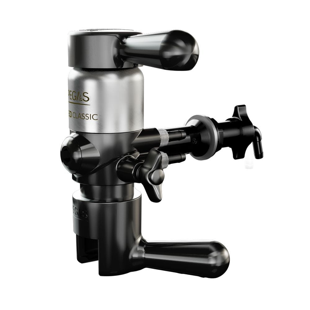 Pegas Neoclassic-min.jpg