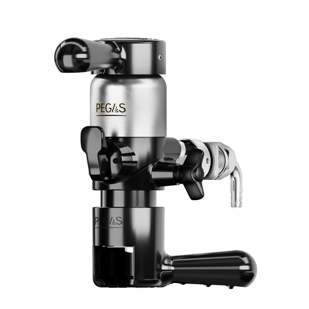 Pegas Neoclassic Duo-min.png