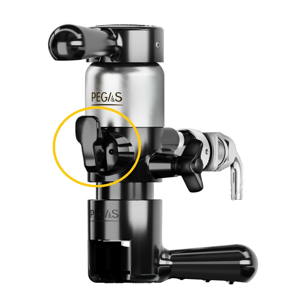 Pegas Neoclassic Max Duo perekluchatel.jpg